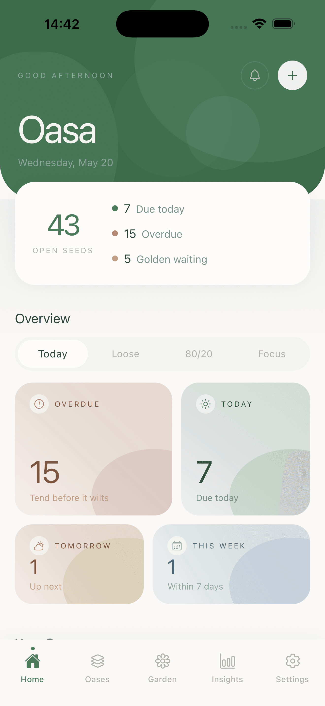 Oasa Home — Good afternoon, Oasa. Open seeds, overdue, golden waiting, today overview.